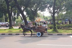 Rezeki Nomplok Kusir Delman di Monas, 3 Hari Lebaran Kantongi Rp2,5 Juta