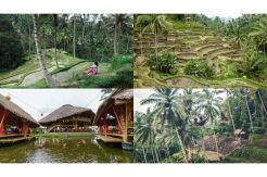 Ubud Destinasi Wisata Gastronomi Pertama di Dunia