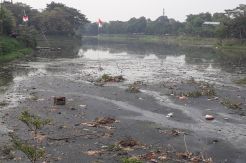 Tumpukan Sampah di Situ Perigi Tangsel Sudah Mirip Pulau Kecil