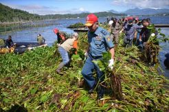 Lantamal VIII Bersihkan Eceng Gondok Danau Tondano