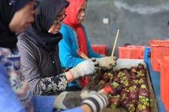 Jurnalis iNews.id Juara 1 Lomba Karya Jurnalistik Kementan-Kompasiana