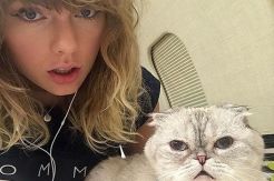 Taylor Swift Jadikan...