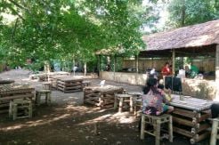 Menikmati Kuliner Halmahera Barat di Antara Rempah-rempah