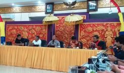 Bali Ingin Listrik dari Pembangkit Berbahan Bakar Nonfosil