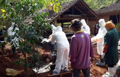 Terpapar Antraks, 7 Sapi Mati Mendadak