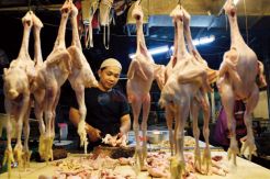 Peternak Ayam Potong di Magetan Terancam Gulung Tikar