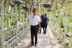 Taman Agro Inovasi Dinas TPHP Muba Akan dijadikan Tempat Belajar Anak Sekolah