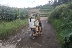 Jalan Menuju Pusat Perdagangan Hortikultura Terbesar di Karo Dibiarkan Rusak