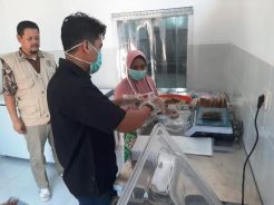 KKP-FAO Kembangkan Pengolahan Ikan Pindang di Lombok