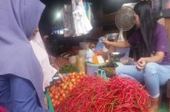 Usai Lebaran, Harga Cabai di Merangin Tak Kunjung Turun