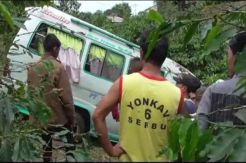 Hilang Kendali, Sebuah Minibus Terjun ke Kebun Warga