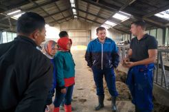 Semangat Hasilkan Susu Terbaik Melalui Riset Program Farmer2Farmer