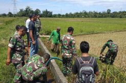 Kementan-TNI Sinergi Atasi Dampak Kekeringan Kemarau 2019