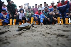 Dukung Konservasi, Pertamina EP Lepas 719 Tukik Tuntong Laut