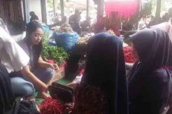 Pasokan Menurun, Harga Cabai di Merangin Tembus Rp100.000 Per Kilogram