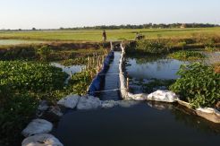Atasi Kekeringan, Petani Indramayu Kreatif Buat Sodetan Sungai