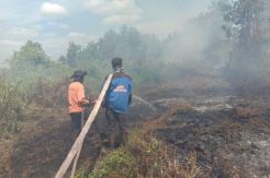 Cegah Titik Api Baru, Buka Lahan Harus Tanpa Bakar