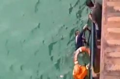 Kepal Pengangkut Ternak Tenggelam, Ratusan Sapi dan 2 Penumpang Hilang