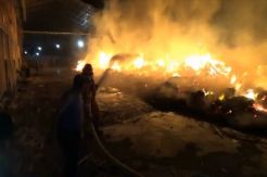 Pabrik Pengolahan Kayu PT Harigo Wood Indonesia di Probolinggo Terbakar
