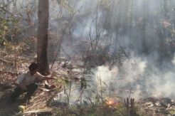 Kawasan Wisata Tanjung Kajuwulu Terbakar
