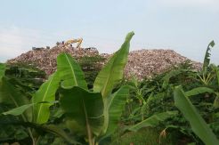 Tangsel Gelontorkan...