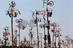 Peringati HUT Kemerdekaan, Ancol Siapkan 190 Batang Pohon Pinang