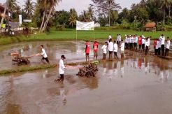 Petani Halmahera Utara...