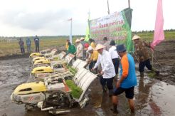 Petani Cilacap Dapat...