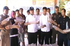 Penyelundupan 11 Ribu Bibit Lobster Senilai Rp2 Miliar Digagalkan