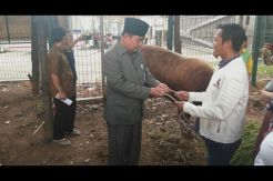 Partai Perindo Serahkan Hewan Kurban ke Masjid Istiqlal