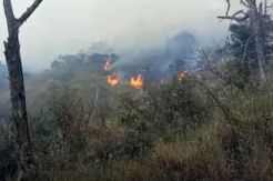 Kebakaran Gunung Ciremai Meluas, BPBD Bakal Turunkan Heli Water Bombing