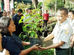 BKP Kementan Canangkan Gerakan Tanam Cabai di Pekarangan Secara Nasional