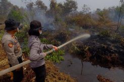 Polwan Cantik di Jambi Ini Ikut Padamkan Kebakaran Lahan