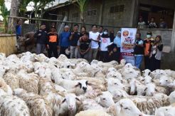 ACT DIY Potong 95 Kambing Kurban di Kulonprogo