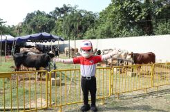 TIKI-JNE Idul Adha Bareng...