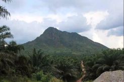 Pemkab Kobar Kembangkan Potensi Wisata di Kecamatan Aruta dan Pangkalan Bun