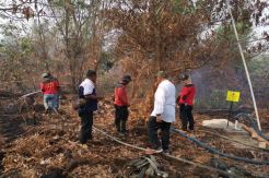 Pemuda Pancasila Minta Aparat Tindak Tegas Pembakar Lahan