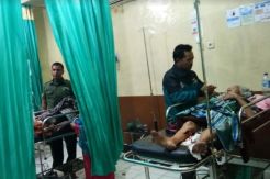 Diseruduk Babi Hutan, 2 Warga Kerinci Tewas