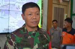 Dansatgas Sebut Kebakaran Hutan di Jambi pada 2019 Turun Drastis