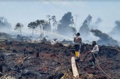 115 Hotspot Menyebar di Riau, 3 Daerah Diselimuti Kabut Asap