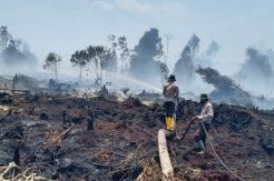 50 Hektare Kebun Sawit di Inhu Riau, 2 Heli Diterjunkan