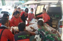Padamkan Kebakaran Hutan, 1 Petugas Tewas Tertimpa Pohon