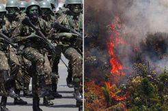 Diancam UE, Brazil Kerahkan Tentara Padamkan Kebakaran Amazon