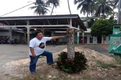 Misteri Penunggu Pohon Ketapang Laut di Parigi Pangandaran