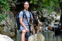 ART Tewas Digigit Anjing, Polisi Anggap Tak Perlu Periksa Bimo Aryo