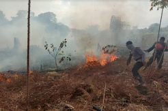 Bakar Lahan dengan Minyak Tanah, Seorang Ibu Terancam 5 Tahun Penjara