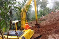 Bogor Mulai Diguyur Hujan, Warga Diminta Waspadai Pohon Tumbang dan Longsor