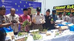 Bea Cukai Kuala Tanjung Hadiri Pelepasan Ekspor Biji Pinang