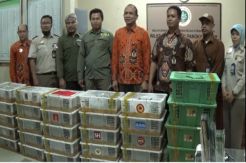 1.080 Ekor Burung Gagal Diselundupkan ke Jakarta