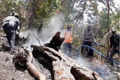 5 Hektare Hutan Lindung Egon Ilin Medo di Sikka NTT Terbakar